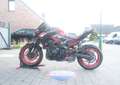 Kawasaki Z 900 Candy Persimmon Red / Ebony Rood - thumbnail 11