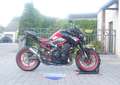 Kawasaki Z 900 Candy Persimmon Red / Ebony Rood - thumbnail 3