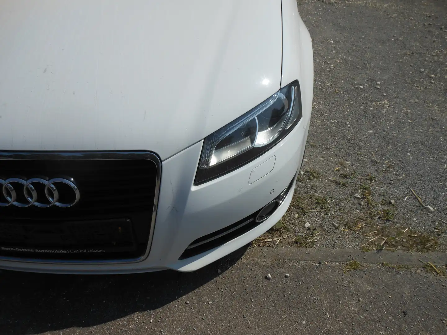 Audi A3 1.6 TDI Ambition PANOROMA Weiß - 2