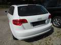 Audi A3 1.6 TDI Ambition PANOROMA Weiß - thumbnail 4