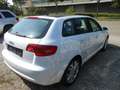 Audi A3 1.6 TDI Ambition PANOROMA Weiß - thumbnail 5