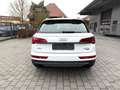 Audi Q5 40 TDI S troni quattro S line Matrix LED Plus Weiß - thumbnail 6