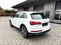 Audi Q5 40 TDI S troni quattro S line Matrix LED Plus Weiß - thumbnail 7