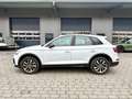 Audi Q5 40 TDI S troni quattro S line Matrix LED Plus Weiß - thumbnail 3