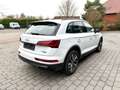 Audi Q5 40 TDI S troni quattro S line Matrix LED Plus Weiß - thumbnail 8