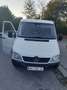 Mercedes-Benz Sprinter Sprinter 313 CDI 3,5 t / 3.000 mm Weiß - thumbnail 1