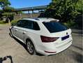 Skoda Superb Style 4x4 DSG 190PS Combi Alcantara Pano AHK Voll. Weiß - thumbnail 3