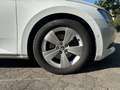 Skoda Superb Style 4x4 DSG 190PS Combi Alcantara Pano AHK Voll. Weiß - thumbnail 13
