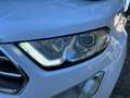 Ford EcoSport EcoSport 2018 1.5 ecoblue Business s Blanc - thumbnail 16