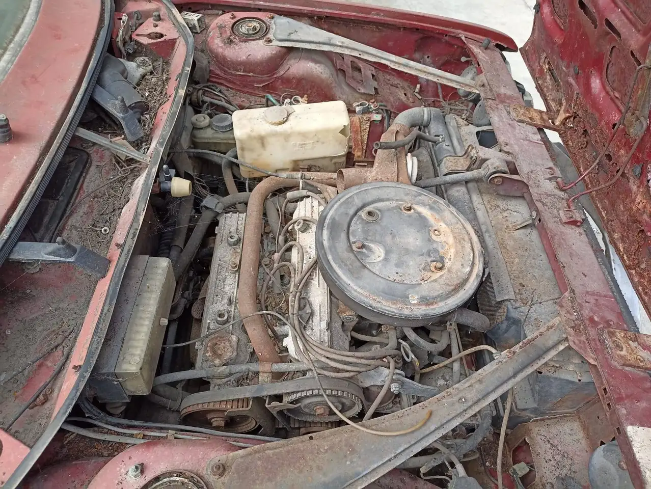 Lancia Beta Coupè, foto 2
