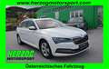 Skoda Superb Superb Kombi 2,0 TDI Style DSG MATRIX AHV P-DACH Weiß - thumbnail 1