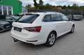 Skoda Superb Superb Kombi 2,0 TDI Style DSG MATRIX AHV P-DACH Weiß - thumbnail 3
