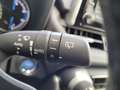 Toyota RAV 4 2.5 Hybrid Business " Volledig Alarm met Certifica Blauw - thumbnail 20