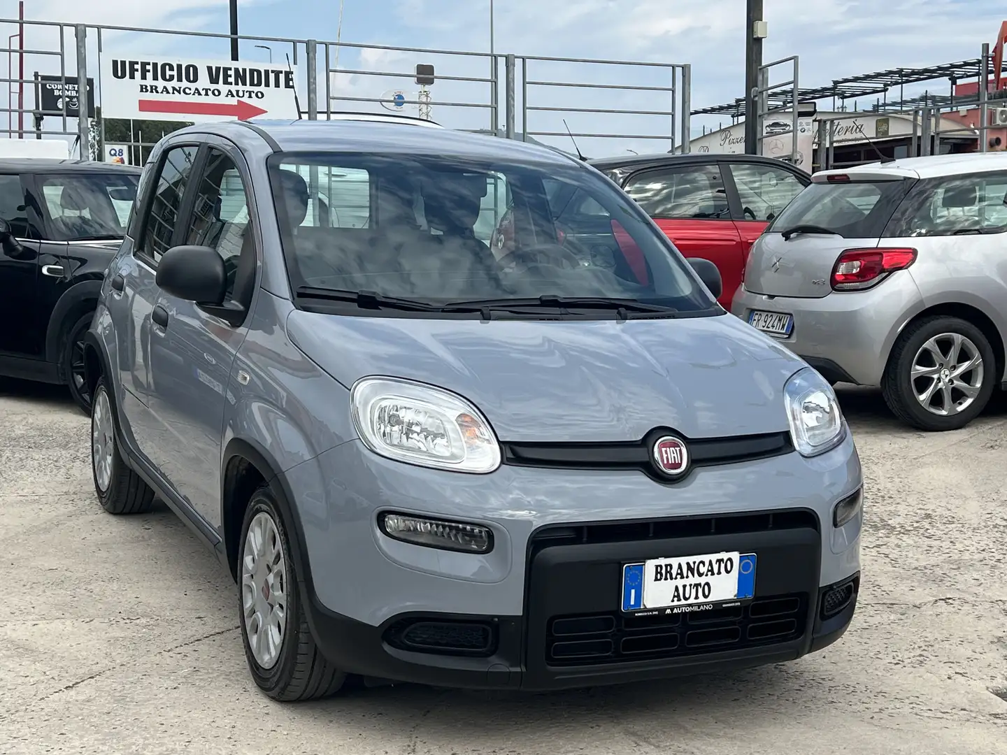 Fiat Panda Panda 1.0 firefly hybrid City Life Grigio - 1