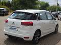 Citroen C4 Picasso 130PS PureTech FEEL Klimaautom. Weiß - thumbnail 6
