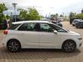 Citroen C4 Picasso 130PS PureTech FEEL Klimaautom. Weiß - thumbnail 7
