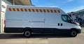 Iveco Daily 35S16 HPT PLM-TA MAXI Bianco - thumbnail 8