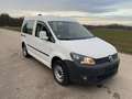 Volkswagen Caddy 1.6 TDI Kasten | Trendline BMT | Tüv Neu Weiß - thumbnail 3