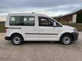 Volkswagen Caddy 1.6 TDI Kasten | Trendline BMT | Tüv Neu Wit - thumbnail 4