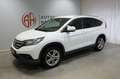 Honda CR-V Lifestyle 4WD Xenon AHK Weiß - thumbnail 2
