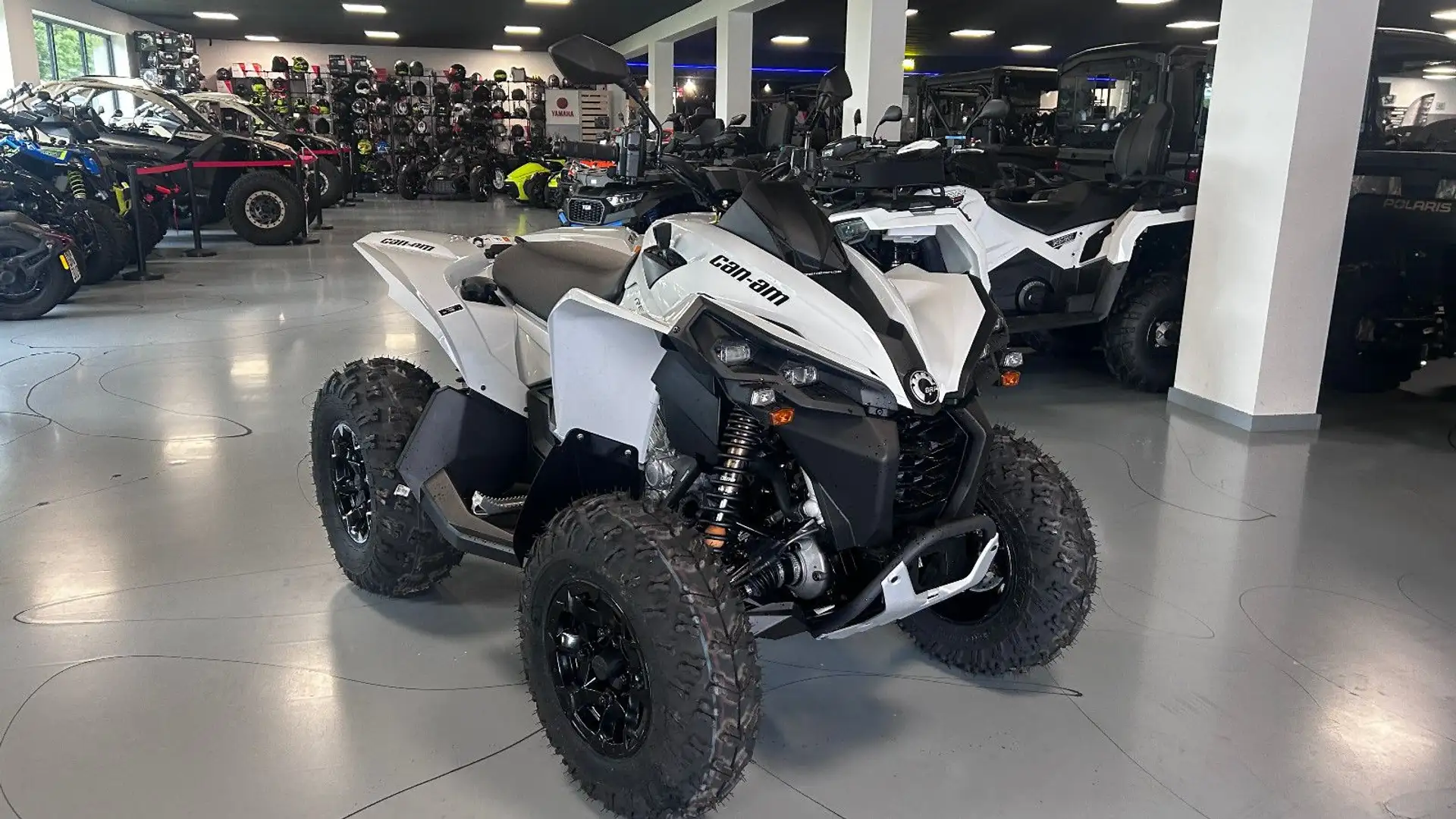 Can-Am Renegade 650 T3b ABS Catalyst Gray-Auf Lager Gris - 1