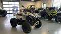 Can Am Renegade 650 T3b ABS Catalyst Gray-Auf Lager Grau - thumbnail 1
