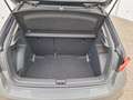 Skoda Fabia 30edition 1,0 TSI DSG 81 kW (110 PS), Automatik... Grau - thumbnail 8