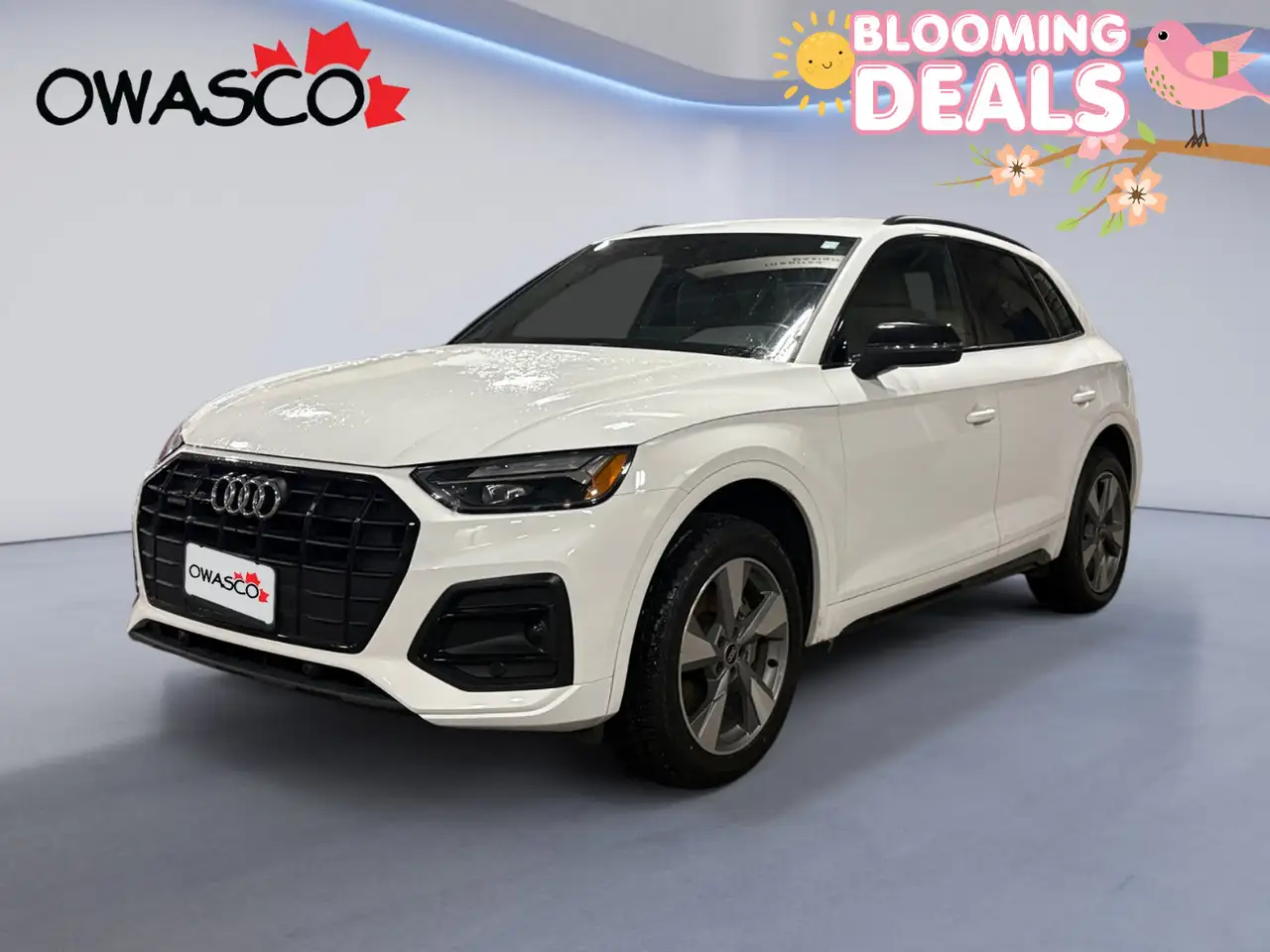 2023 Audi Q5