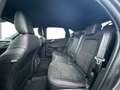 Ford Kuga ST-Line X Plug-In Hybrid 8-fach AHK DAB Gris - thumbnail 16