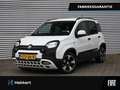 Fiat Panda Pandina 1.0 Hybrid 70pk APPLE-CARPLAY | 15''LM | D Wit - thumbnail 1