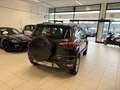 Ford EcoSport BUSINESS 1.0 EcoBoost 125 CV Grigio - thumbnail 3