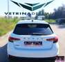 Skoda Fabia 1.0 TSI EVO DSG 110 CV Monte Carlo Weiß - thumbnail 12