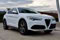 Alfa Romeo Stelvio Stelvio 2.0 Turbo 16V AT8-Q4 Sprint Blanc - thumbnail 21