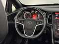 Opel Cascada 1.4 Turbo ecoFLEX Cosmo Leder, Camera, Navi, Cruis Grijs - thumbnail 16