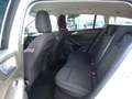 Ford Focus 1,5-120Ps-Neu Model*Navi*Kamera*1Hd*EURO6 Weiß - thumbnail 30