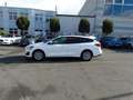 Ford Focus 1,5-120Ps-Neu Model*Navi*Kamera*1Hd*EURO6 Weiß - thumbnail 8