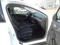 Ford Focus 1,5-120Ps-Neu Model*Navi*Kamera*1Hd*EURO6 Weiß - thumbnail 28