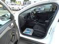 Ford Focus 1,5-120Ps-Neu Model*Navi*Kamera*1Hd*EURO6 Weiß - thumbnail 26