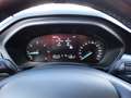 Ford Focus 1,5-120Ps-Neu Model*Navi*Kamera*1Hd*EURO6 Weiß - thumbnail 10