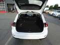 Ford Focus 1,5-120Ps-Neu Model*Navi*Kamera*1Hd*EURO6 Weiß - thumbnail 33