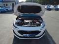 Ford Focus 1,5-120Ps-Neu Model*Navi*Kamera*1Hd*EURO6 Weiß - thumbnail 36