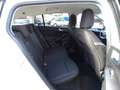 Ford Focus 1,5-120Ps-Neu Model*Navi*Kamera*1Hd*EURO6 Weiß - thumbnail 32