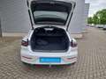 Volkswagen Arteon Shooting Brake eHybrid R-Line UPE73 PANO STHZG AHK Weiß - thumbnail 11