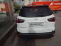 Ford EcoSport Active Vollausstattung Wit - thumbnail 6