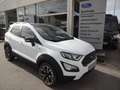 Ford EcoSport Active Vollausstattung Biały - thumbnail 2