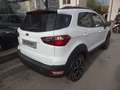 Ford EcoSport Active Vollausstattung Wit - thumbnail 5