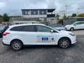 Ford Focus Turnier Titanium Weiß - thumbnail 5