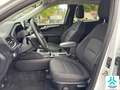 Ford Kuga 1.5 EcoBoost Titanium FWD 150 Weiß - thumbnail 11