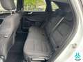 Ford Kuga 1.5 EcoBoost Titanium FWD 150 Weiß - thumbnail 12