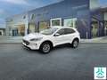Ford Kuga 1.5 EcoBoost Titanium FWD 150 Weiß - thumbnail 1